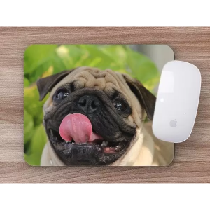 Mouse Pad Pet PVC Expandido 3mm 22x18cm 4x0   